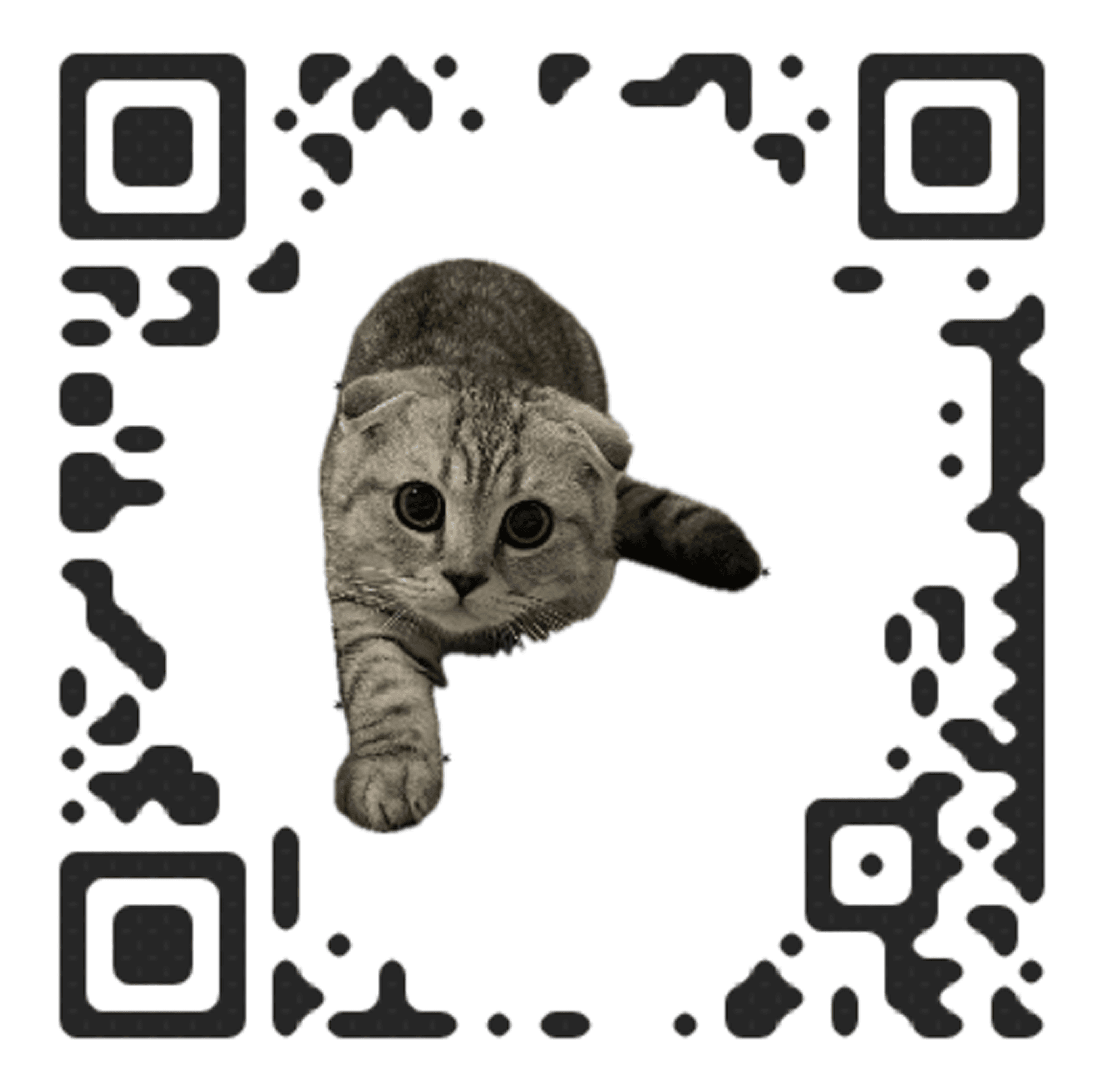 QR code stylized with the orange cat's colors and silhouette.