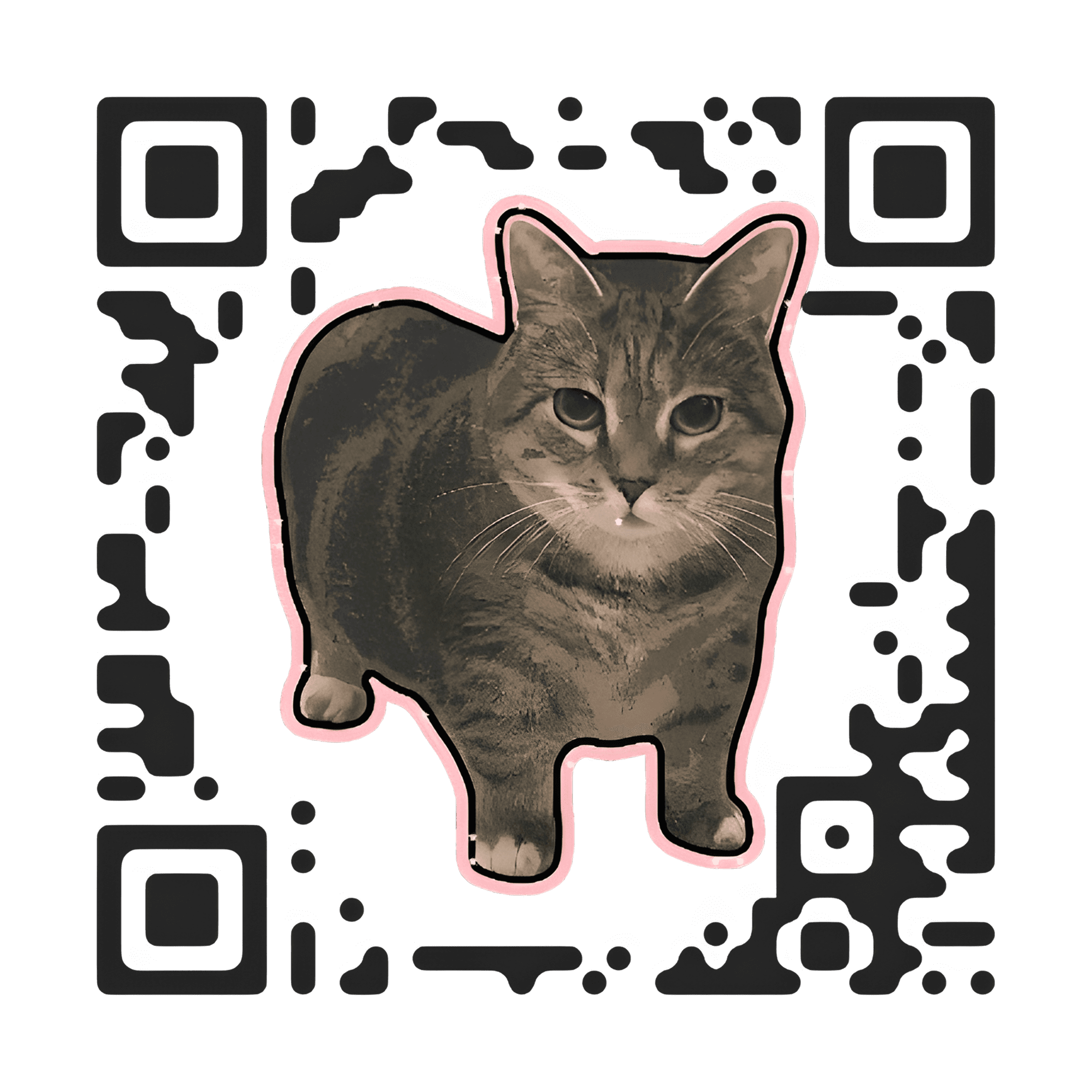 QR code echoing the meme cat colors and pose.